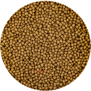 Vivani Wheat Germ 6mm Koi Voer - Gezond Spijsverteringssteun - 5L Emmer