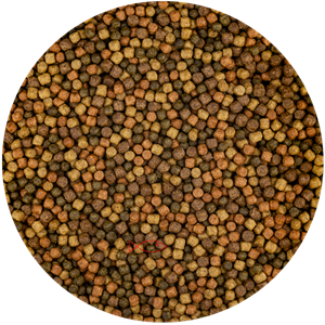 Vivani Top Mix 3mm Koi Voer 6kg - Natuurlijke Kleurboost & Immunostimulanten