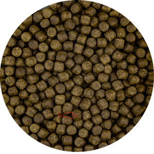 Vivani Color Koi Voer 6mm met Spirulina - Intense Kleurenpracht, Gezondheid - 6 kg