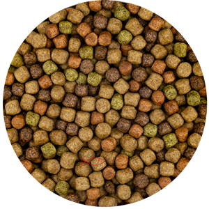 Vivani Japanse Mix 6mm Complete Vijvervoer - 15kg Voor Gezondheid & Vitaliteit Koi