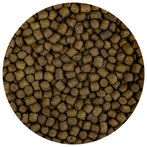 fdfood Fd Food Color-Up M 5,7mm - Intensieve Kleurversterkend Koi Voer - 3kg Pakket