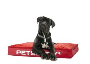 Honden zitzak 'Dog Bed Large' Red - Rood - Weerbestendig - Sit&Joy