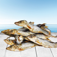 Lodde / Sprotten / Capelin, 500g - SCHECKER