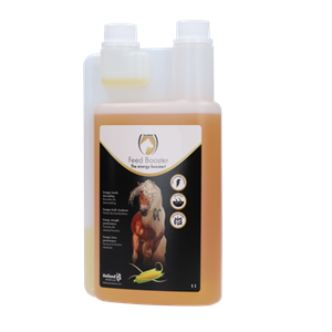 Excellent Feed Booster Horse 1 liter
