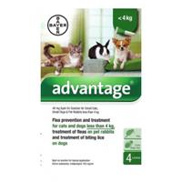 Advantage Nr. 40 Flohmittel (bis 4 kg) Hund Pro Verpackung