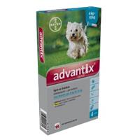 Advantix 100/500 Hunde 4-10kg Spot-on