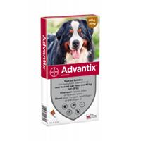 Advantix 600/3000 für Hunden von 40 bis 60 Kg 6 Pipetten