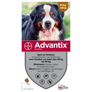 Advantix 600/3000 voor honden van 40 tot 60 kg 2 x 6 pipetten