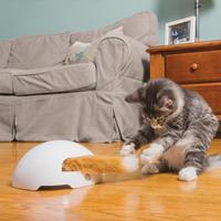 FrolicCat Vos De Automatisch Kattenspeelgoed