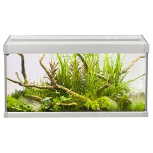 Akvastabil Family Aquarium - Aquaria - 60x30x32 cm 54 l Grijs Wit