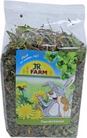 JR Farm Paardenbloem 100g Knaagdiersnacks