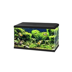 ciano Aquarium 60 Led Cf80 60x30x41 cm - Aquaria - Zwart