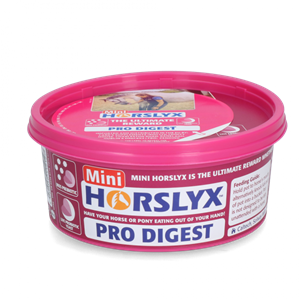 HorsLyx Paarden liksteen Spijsvertering