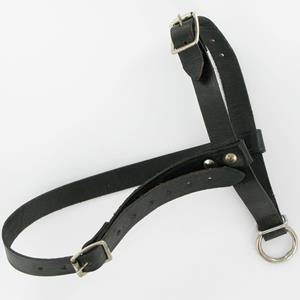 VSI Rammenhalster zwart leder 20mm