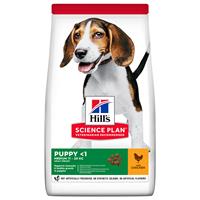 Hills Hill's Science Plan - Puppy - Medium Chicken 2,5 kg