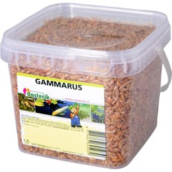 nerus Gammarus 1.2 liter