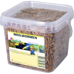 nerus Meelwormen 1.2 liter