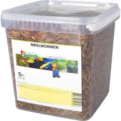 nerus Meelwormen 5 liter