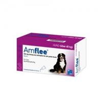 Amflee Spot-On 402 mg hond XL 40+ kg 3 pipetten