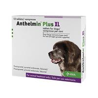 Anthelmin Plus XL für Hunde 1 Stück