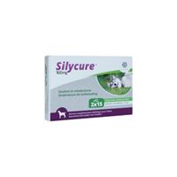 Fendigo Silycure 160 mg Tabletten für Hunde 30 tabletten