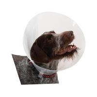 Buster Transparent Classic Collar - Maat 1