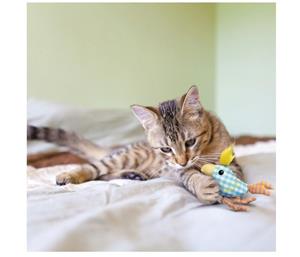 Kong Cat Kitten Chirpz Chick