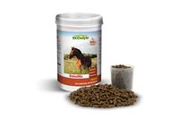 ECOstyle DetoxMix paard 1kg