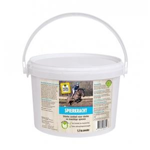 VITALstyle Spierkracht 1,5KG