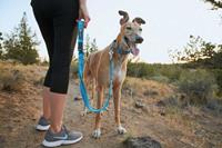 Ruffwear Web Reaction Hondenhalsband