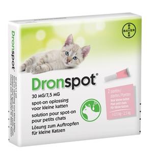 Drontal Dronspot Cat - voor kleine katten - 2 pipetten