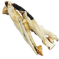DOGREFORM runderhuid met vel