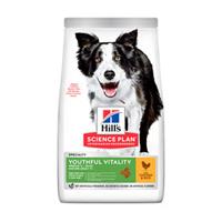 Hills Hill's Science Plan - Canine - Senior Vitality - Medium 14 kg