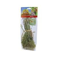 JR Farm Grote Parkiet & Papegaai Pick & Fly 130 Gram