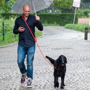 H5D Leisure Clic Schouderlijn voor de hond Zwart - 13mm x 250cm