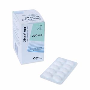 MSD Zitac Vet 200 mg - hond 11 tot 60 kg (10 x 10 tabletten) Per verpakking