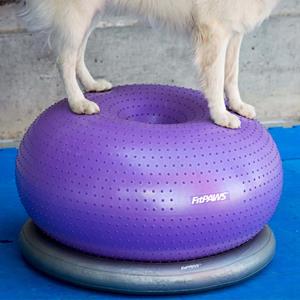 fitpaws Donut Holder