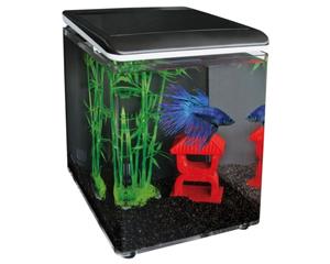 Superfish Home 8 Aquarium 8L Zwart - Compact Design met LED Verlichting en Filter