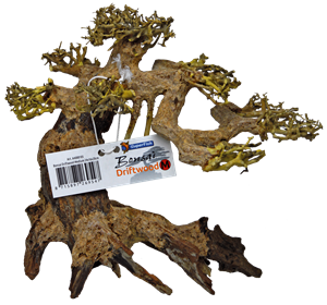 Superfish Bonsai Driftwood M - Medium, Handgemaakt, Natuurlijk Vormgegeven, Aquariumveilig
