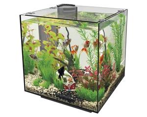 Superfish Qubiq 30 Zwart Aquarium - 30L met Geïntegreerde Filter en Glazen Afdekruit, 2jr Garantie