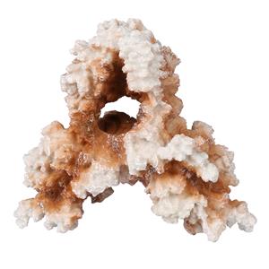 Aqua D'ella Coral M