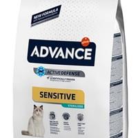 Advance cat sterilized sensitive salmon