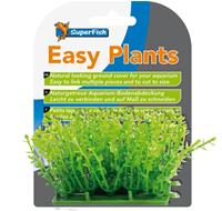 easy plants carpet m is 3 cm