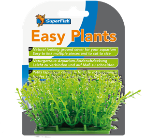 Easy Plants Carpet M= 3 Cm