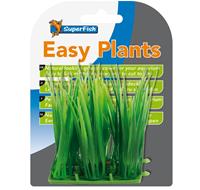 easy plants carpet l is 6 cm