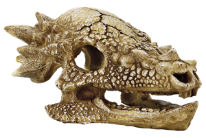 Superfish Skull T Rex M | Prehistorische Dino Schedel als Aquarium Decor & Schuilplaats