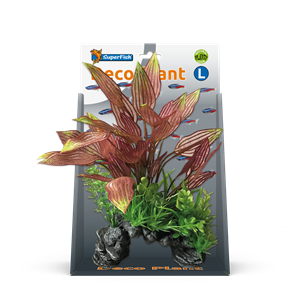 Superfish Deco Plant L Henkelianus - Kunststof Aquariumplant, Onderhoudsvrij en Visveilig