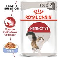royalcanin Royal Canin Instinctive natvoer in gelei 85g