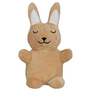 Aumüller Baldi-Bunny Knuffelhaas 2 stuks