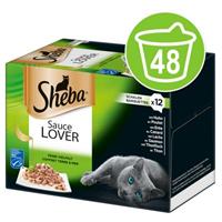 Sheba Megapak  Variaties Kuipjes Kattenvoer 48 x 85 g - Classic in Paté